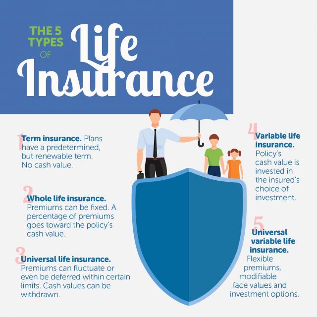 5 Types of Life Insurance - Zing Credit Union